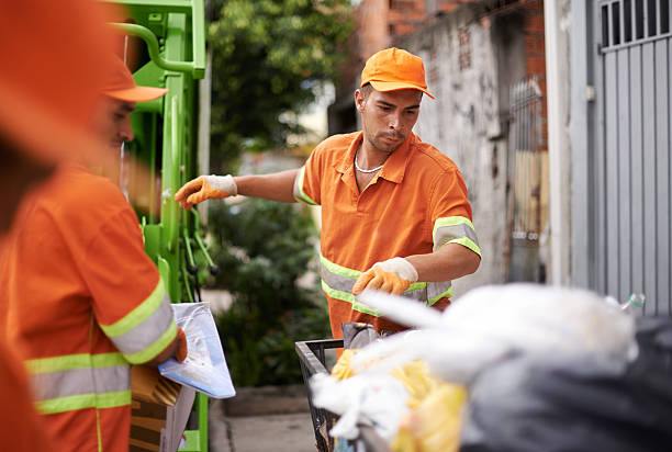 Yard Cleanup Services in Twin Lakes, CO